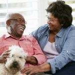 Annapolis pet planning attorney